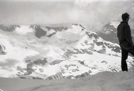 Wally on glacier