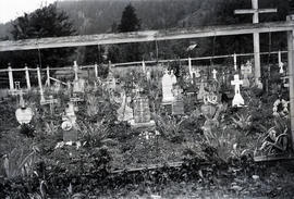 Graveyard at D'Arcy