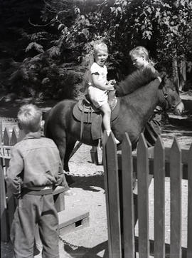 Kids with donkey at Stanley Park