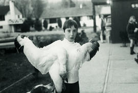 Tracy Willgress examines a snow goose