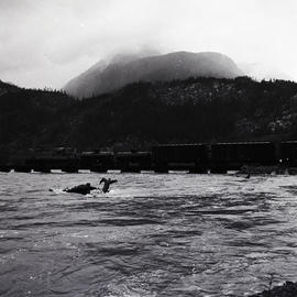 Train and water