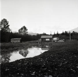 Building and pond