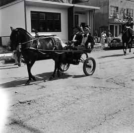 Horse and buggy