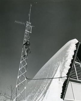 Person climbing telephone tower