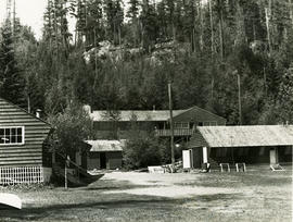 Cabins at Evans Lake