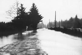 Mamquam bridge during flood