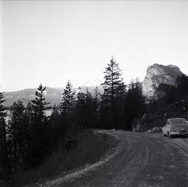 Road, trees and water