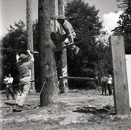 Climbing tree in logging competition [?]