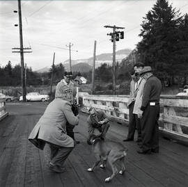 Photographing dog [?] on bridge