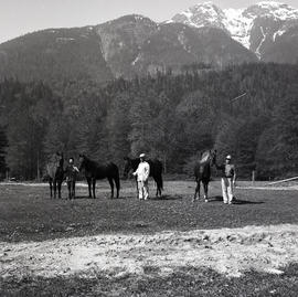 People and horses in field