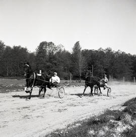 Harness racing