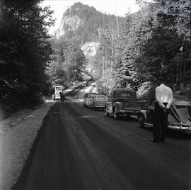 Line of cars on road