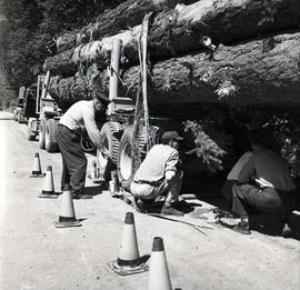 Men and logging truck