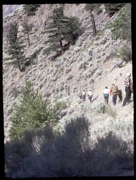 Dad and boys on trail (Scouts)