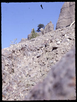 Rocky outcrops (Scouts)