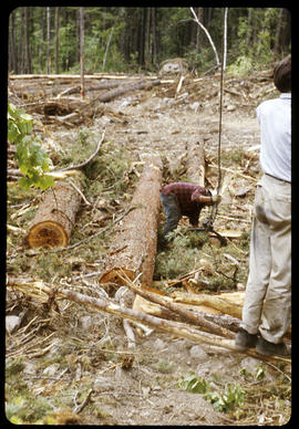 Hooking logs