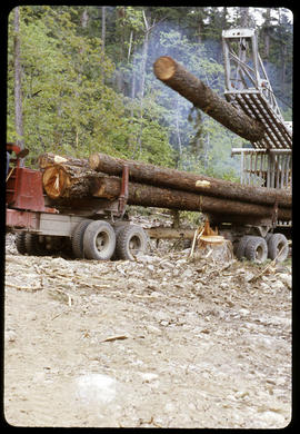 Hooking logs