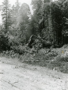 Equipment in forest