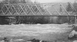 Cheakamus Bridge