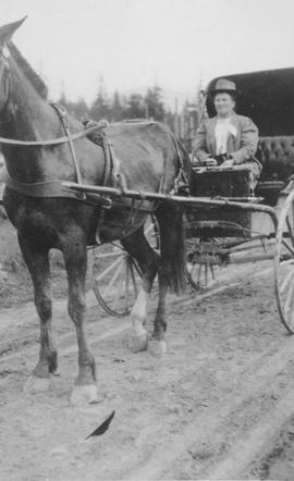 Mrs Catherine Rae in a horsedrawn carriage