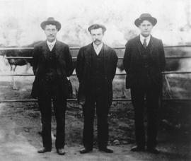 Men in front of cattle field