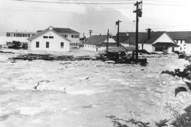 Woodfibre Flood, 1963